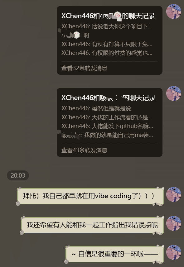 关于 vibe coding 的群聊梗图